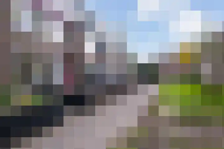 Rakethof 10 IJsselstein thumbnail 5