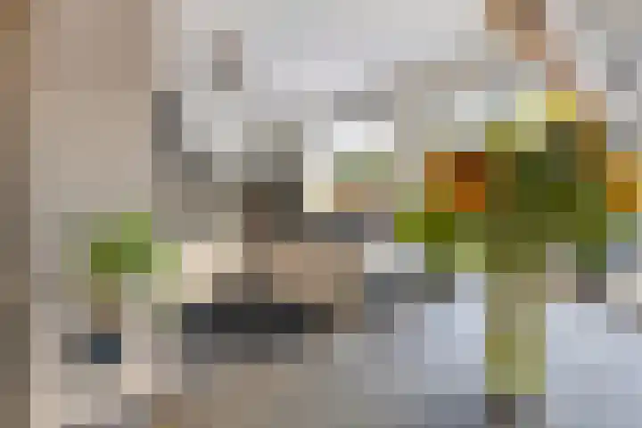 Rakethof 19 IJsselstein thumbnail 15
