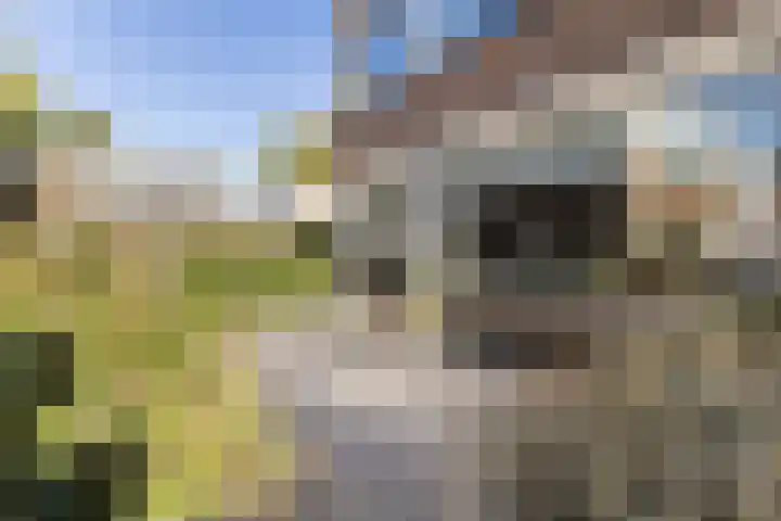 Rakethof 19 IJsselstein thumbnail 4