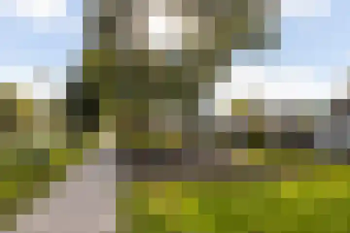 Rakethof 19 IJsselstein thumbnail 51