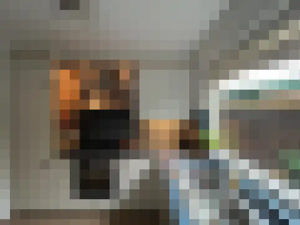 Rakkersveld 202 Apeldoorn thumbnail 4