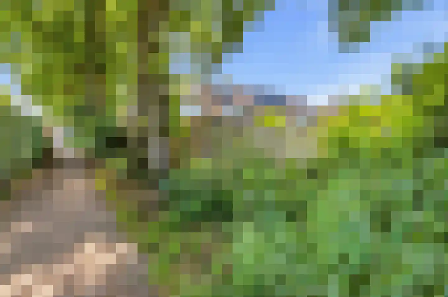 Rakkersveld 302 Apeldoorn thumbnail 24