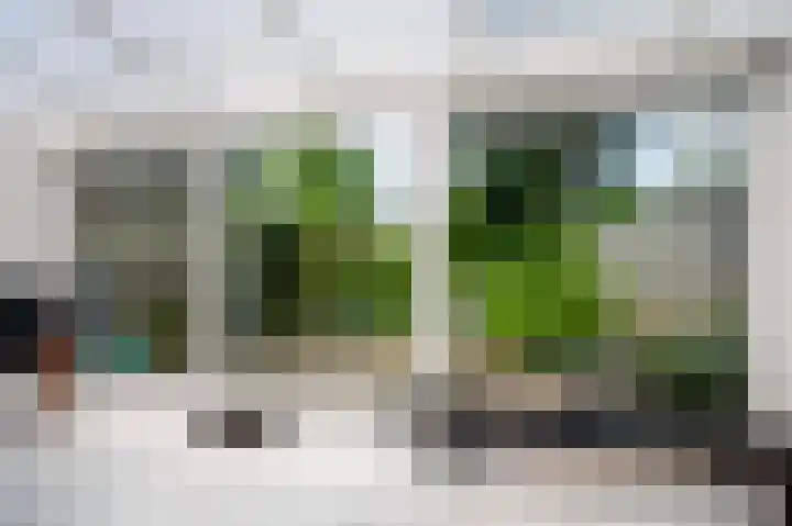 Rakkersveld 306 Apeldoorn thumbnail 10