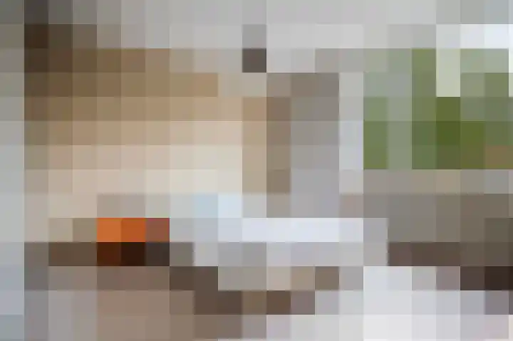 Rakkersveld 306 Apeldoorn thumbnail 12