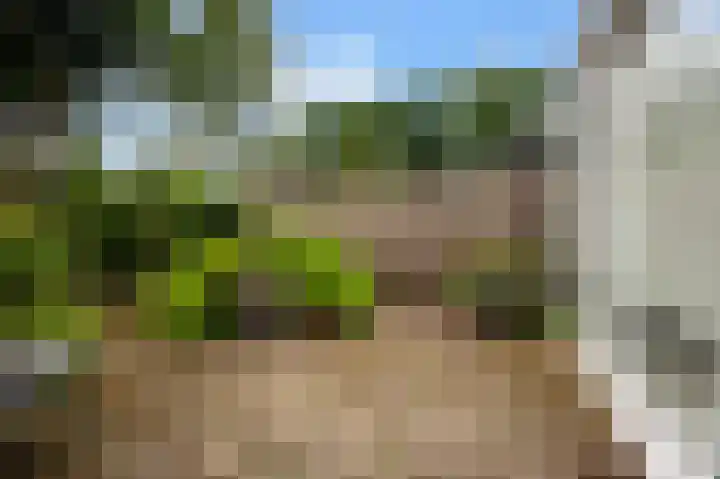 Rakkersveld 306 Apeldoorn thumbnail 22