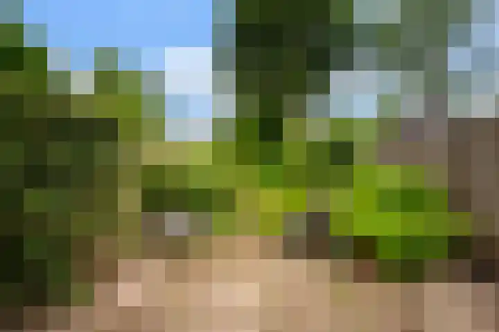 Rakkersveld 306 Apeldoorn thumbnail 23