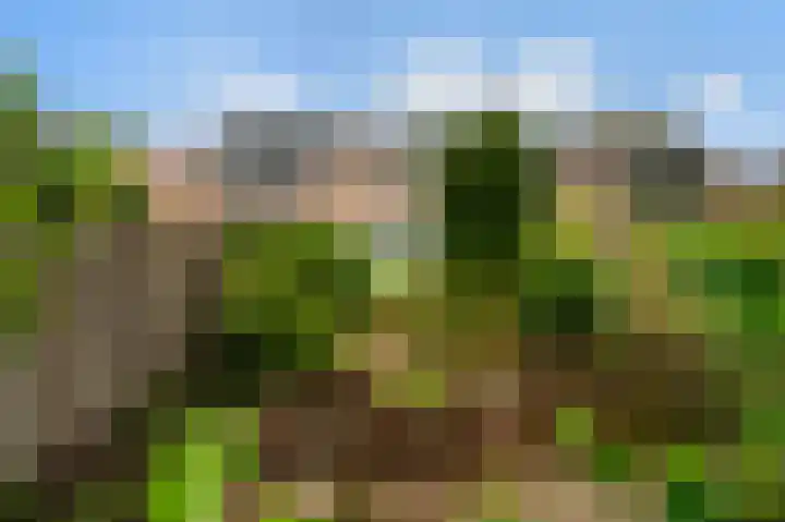 Rakkersveld 306 Apeldoorn thumbnail 25