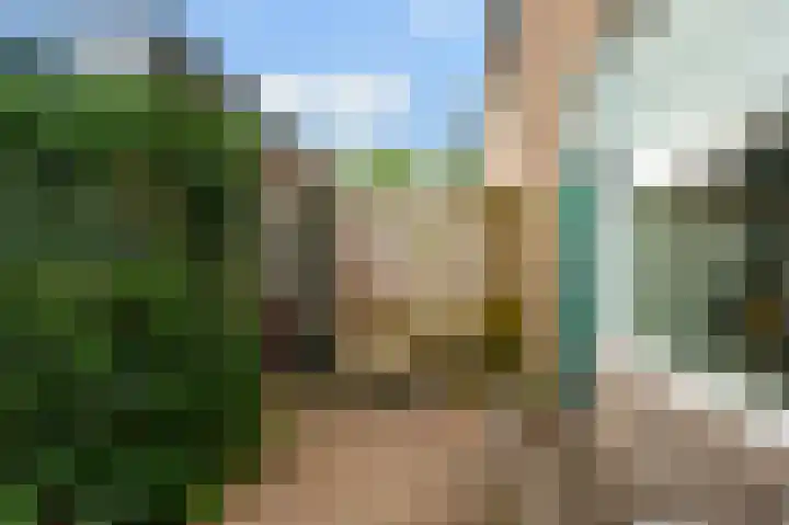 Rakkersveld 306 Apeldoorn thumbnail 26