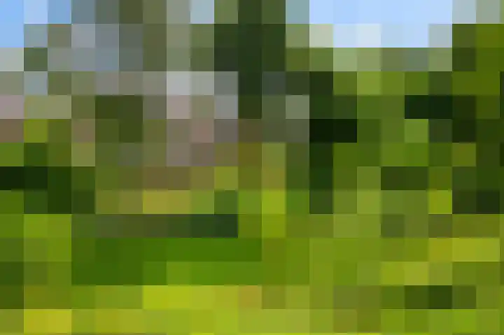 Rakkersveld 306 Apeldoorn thumbnail 29
