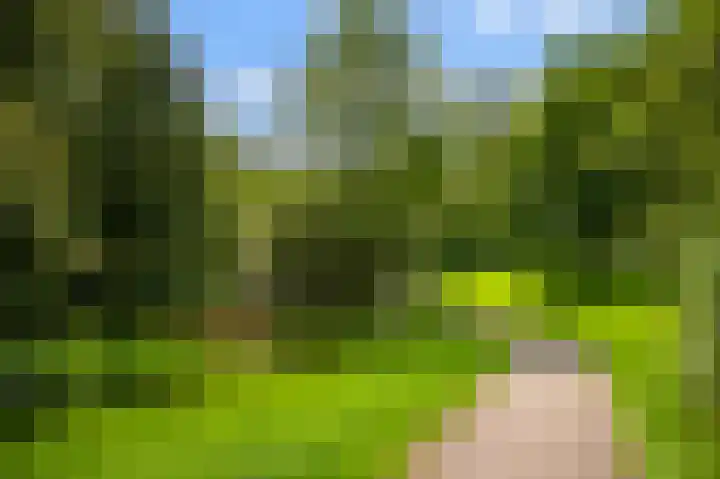 Rakkersveld 306 Apeldoorn thumbnail 30