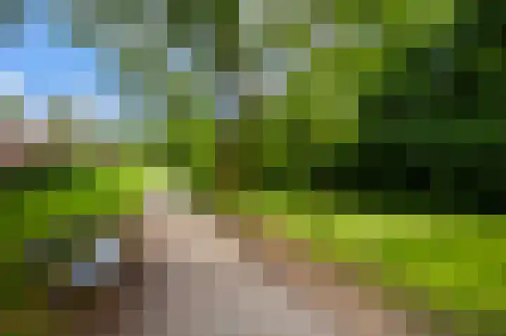 Rakkersveld 306 Apeldoorn thumbnail 31
