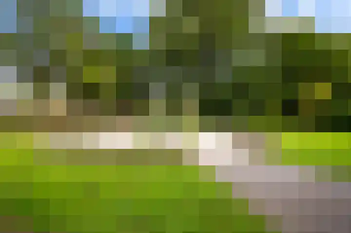 Rakkersveld 306 Apeldoorn thumbnail 32