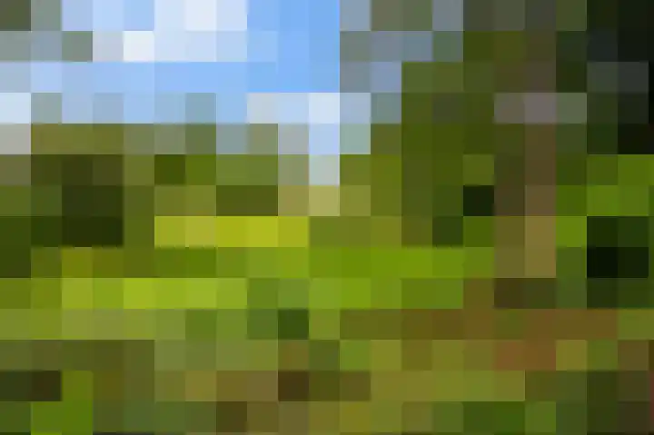 Rakkersveld 306 Apeldoorn thumbnail 33