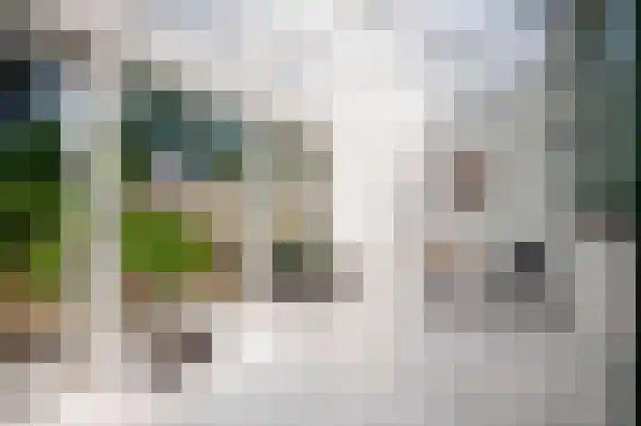 Rakkersveld 306 Apeldoorn thumbnail 9