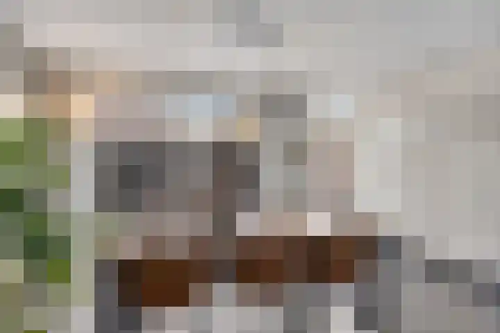 Rakkert 5 Bakel thumbnail 11
