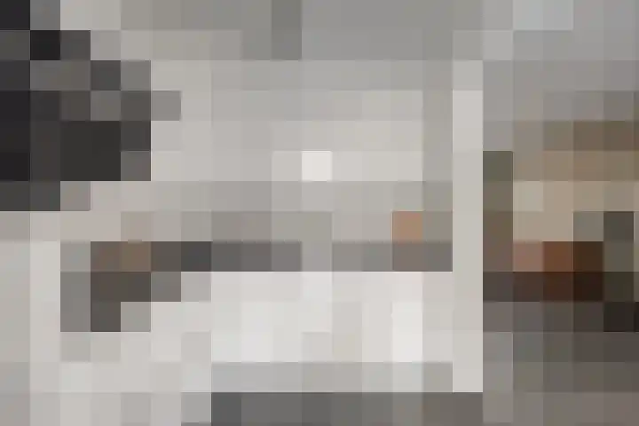Rakkert 5 Bakel thumbnail 13