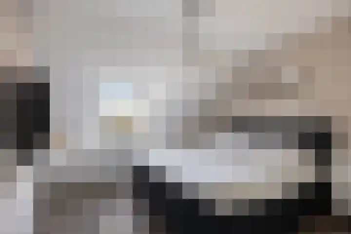 Rakkert 5 Bakel thumbnail 18