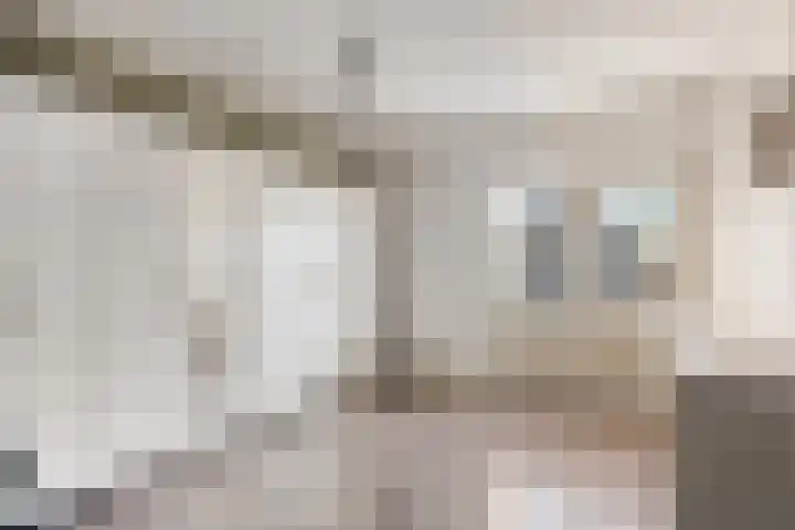 Rakkert 5 Bakel thumbnail 21