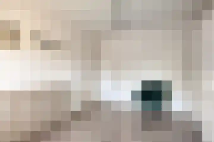 Rakkert 5 Bakel thumbnail 22