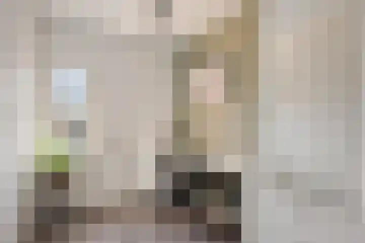 Rakkert 5 Bakel thumbnail 24