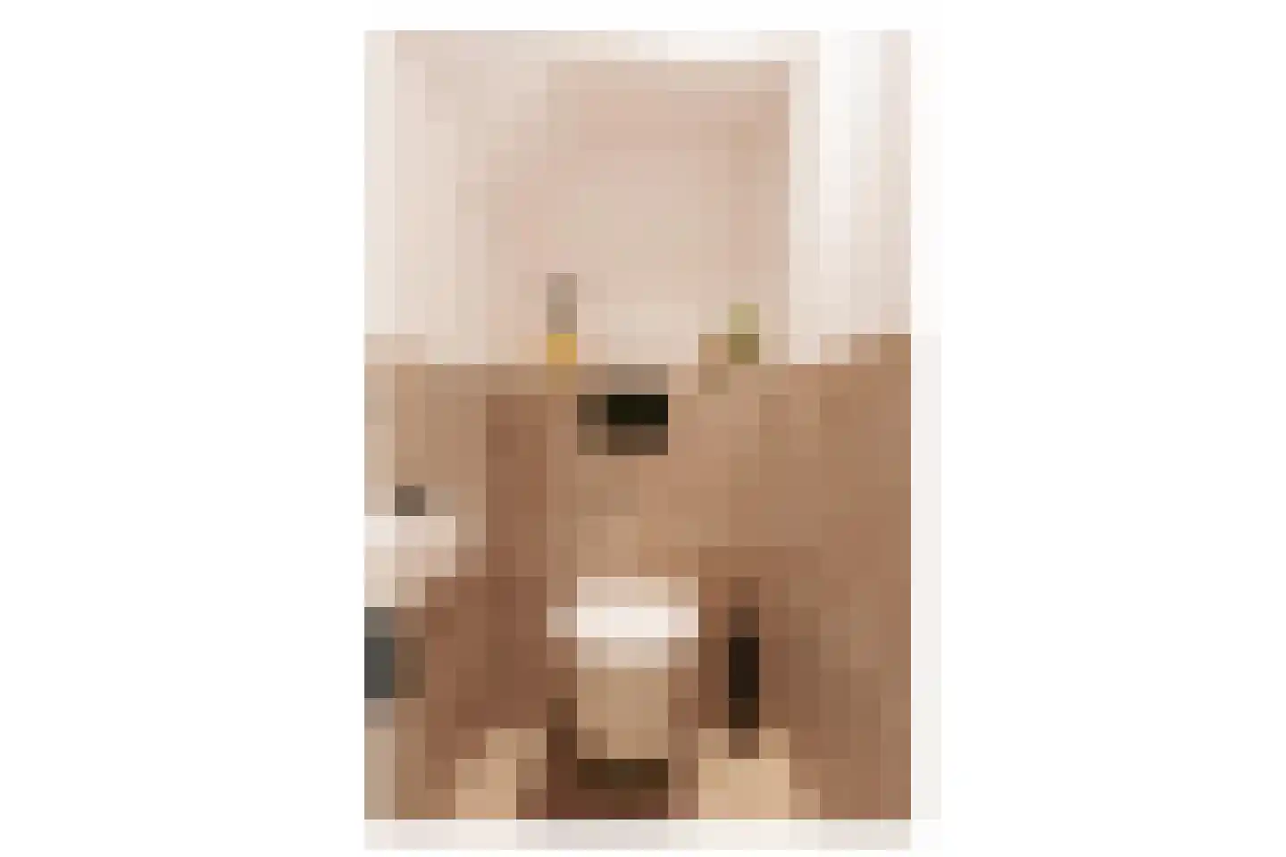 Rakkert 5 Bakel thumbnail 26