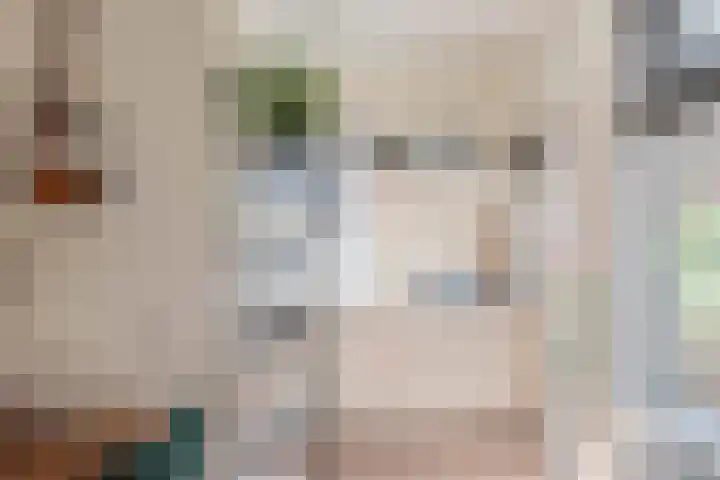 Rakkert 5 Bakel thumbnail 30