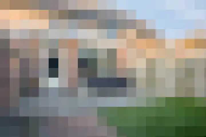 Rakkert 5 Bakel thumbnail 32