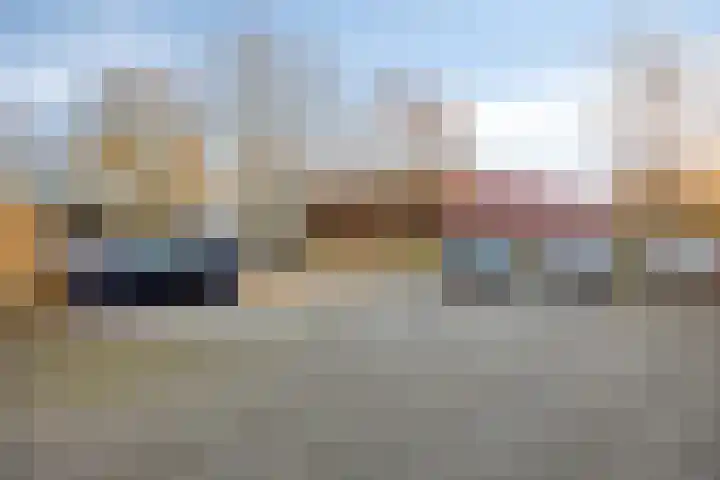 Rakkert 5 Bakel thumbnail 34