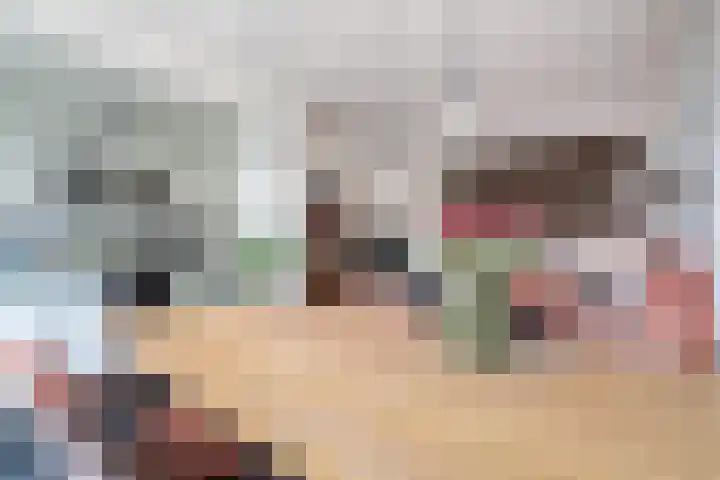 Rakkert 5 Bakel thumbnail 7