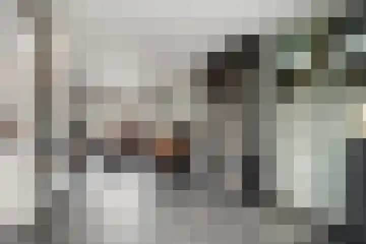 Rakkert 5 Bakel thumbnail 9