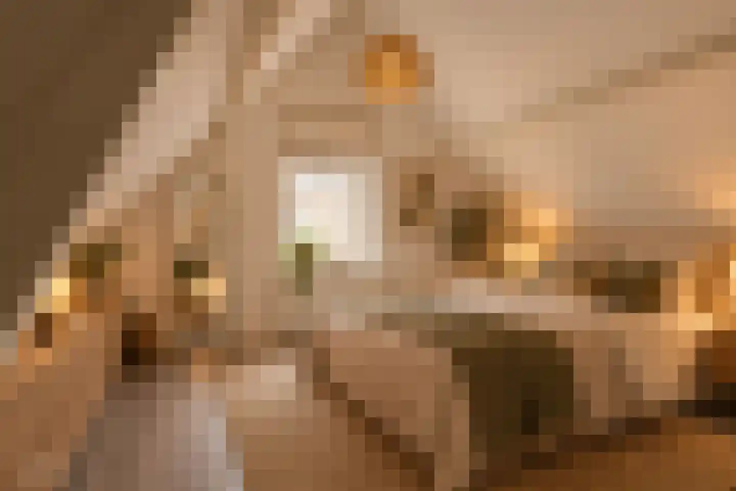 Rakstraat 18 B Rotterdam thumbnail 25