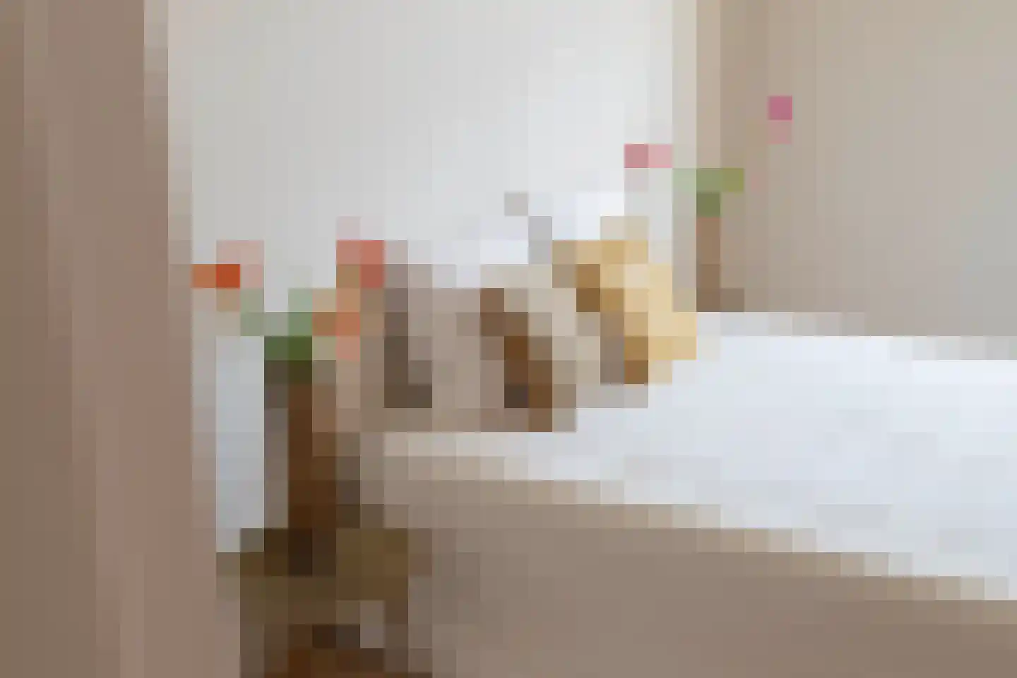 Rakstraat 7 Rotterdam thumbnail 22