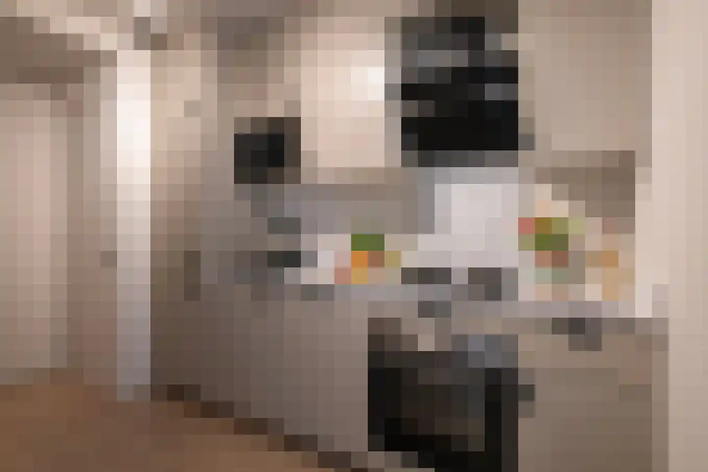 Rakstraat 7 Rotterdam thumbnail 5