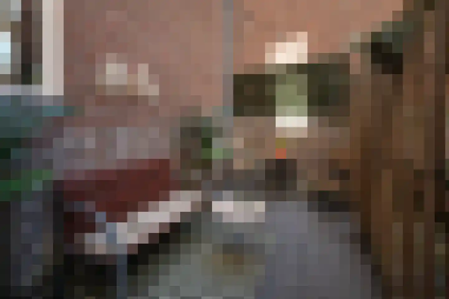 Rakstraat 7 Rotterdam thumbnail 7