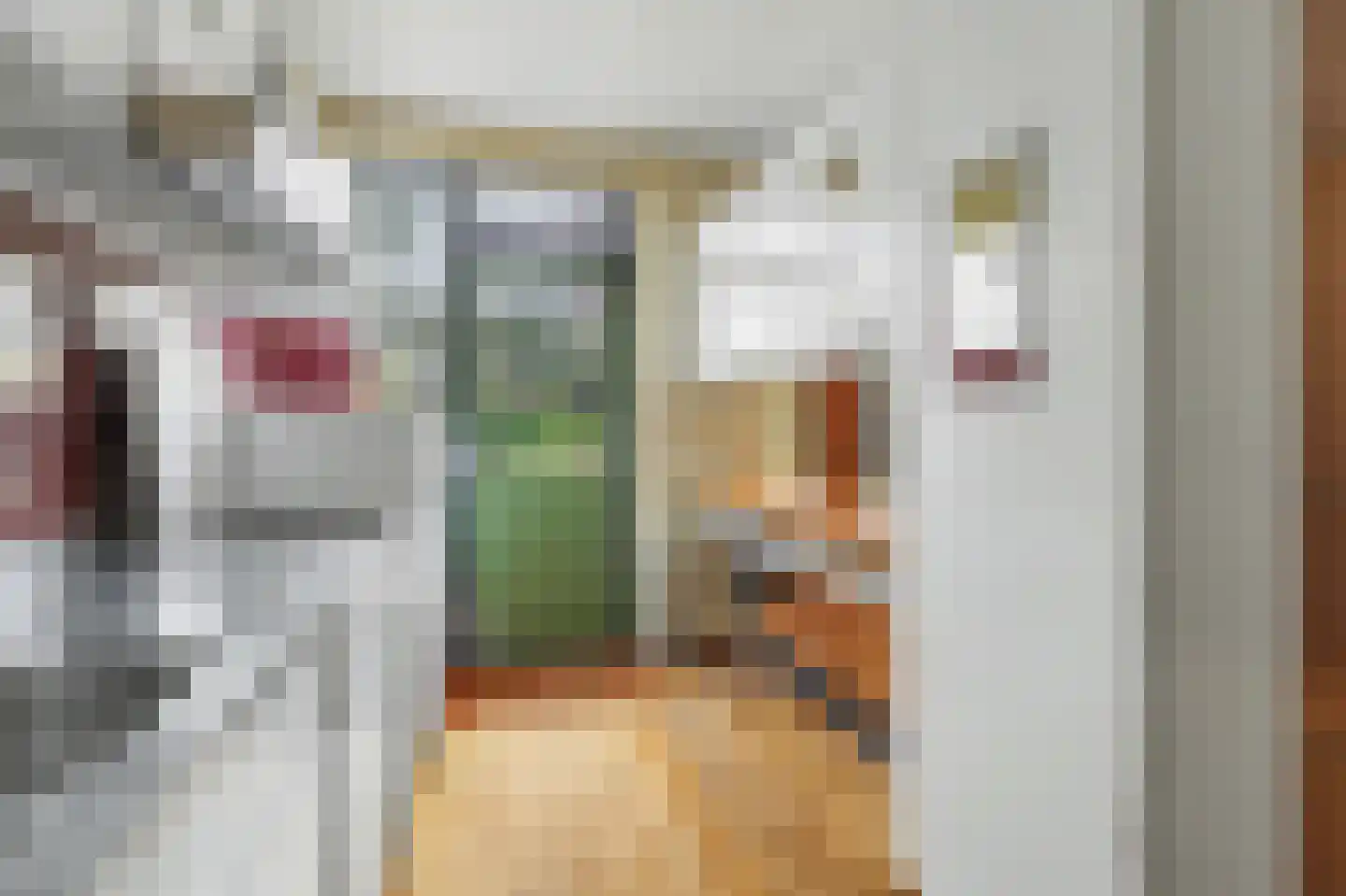 Ralph Bunchestraat 30 Goirle thumbnail 11