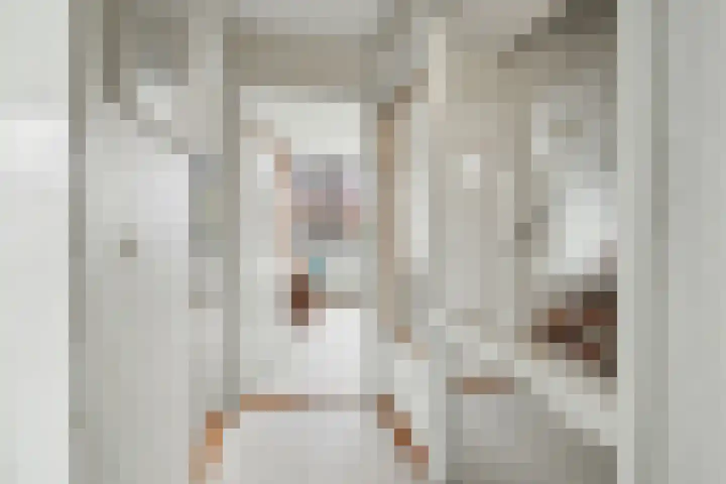 Ralph Bunchestraat 30 Goirle thumbnail 14