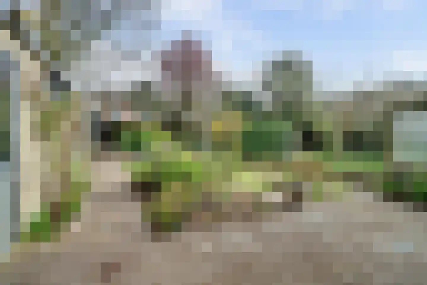 Ralph Bunchestraat 30 Goirle thumbnail 26