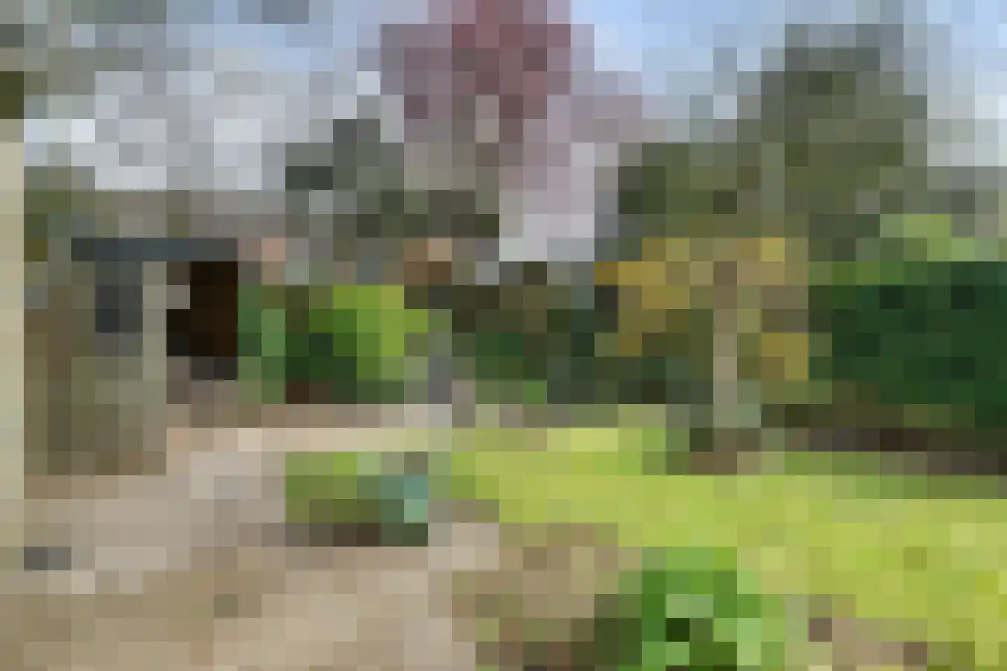 Ralph Bunchestraat 30 Goirle thumbnail 29