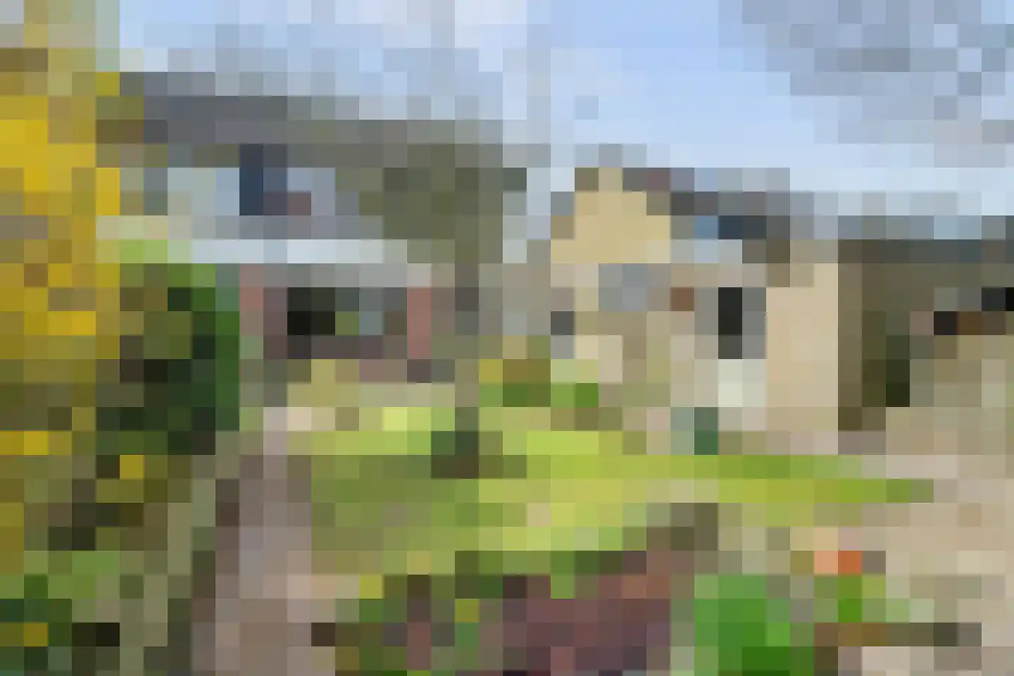 Ralph Bunchestraat 30 Goirle thumbnail 30