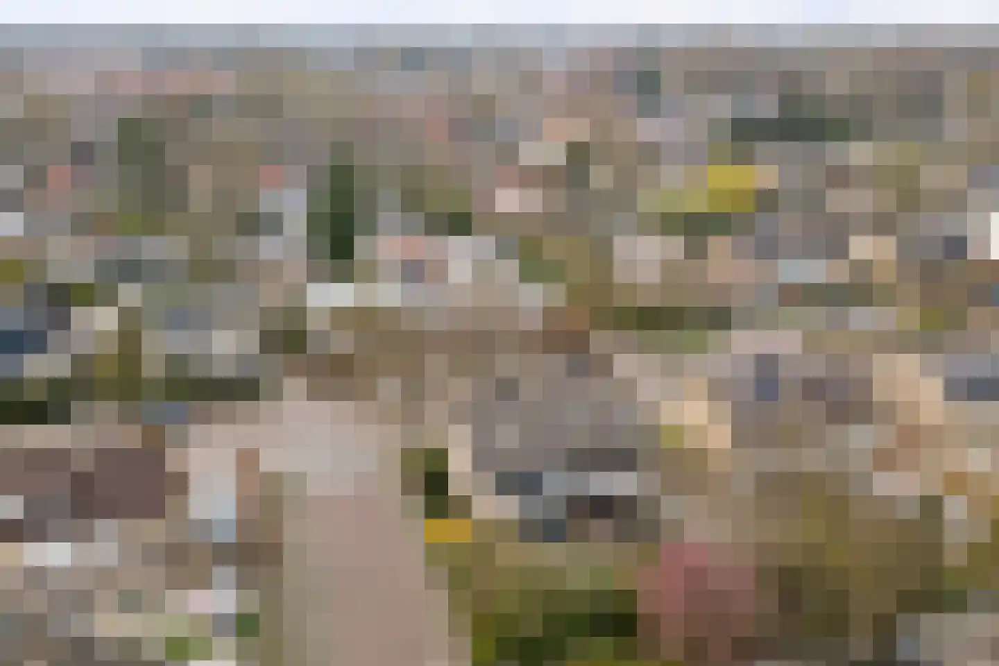 Ralph Bunchestraat 30 Goirle thumbnail 32