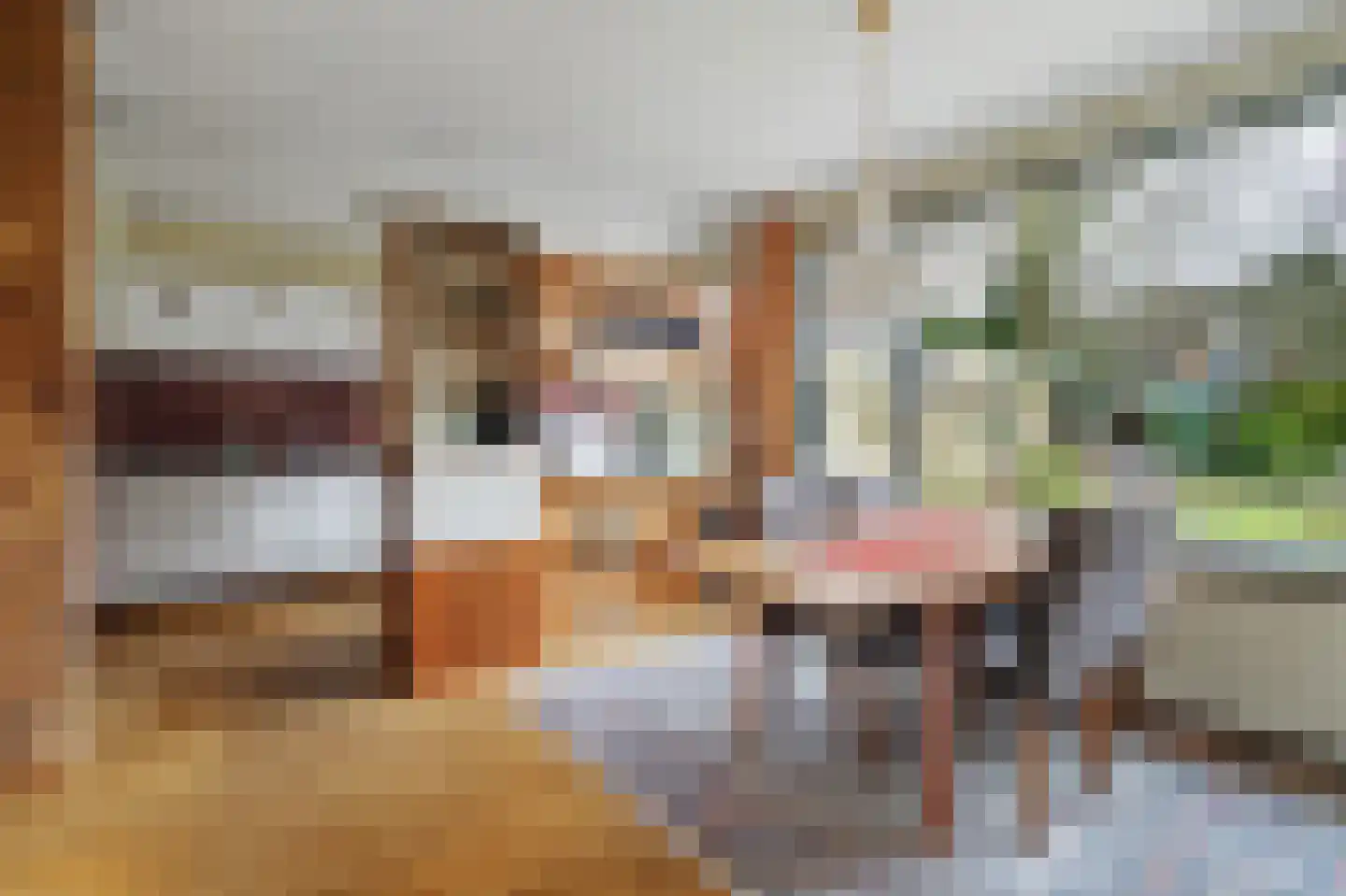 Ralph Bunchestraat 30 Goirle thumbnail 9