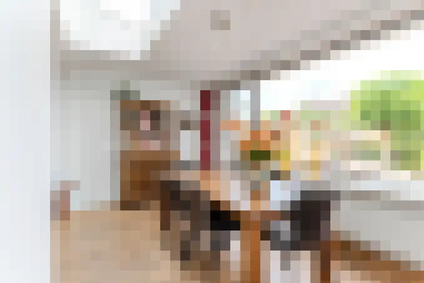 Ralph Bunchestraat 8 Goirle thumbnail 10