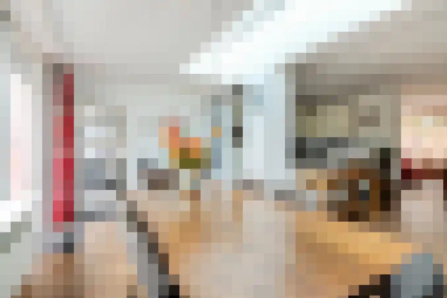 Ralph Bunchestraat 8 Goirle thumbnail 11