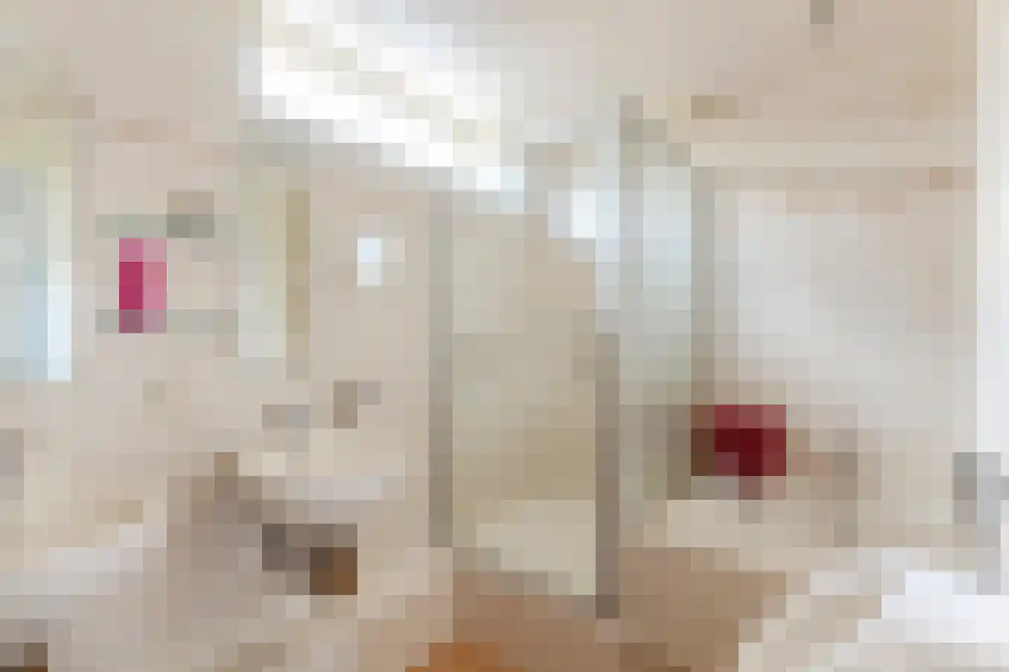 Ralph Bunchestraat 8 Goirle thumbnail 23
