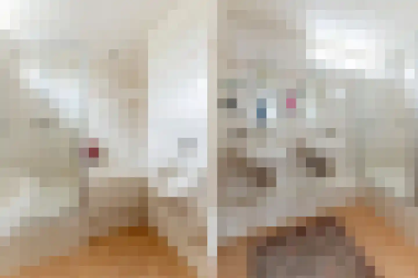 Ralph Bunchestraat 8 Goirle thumbnail 25