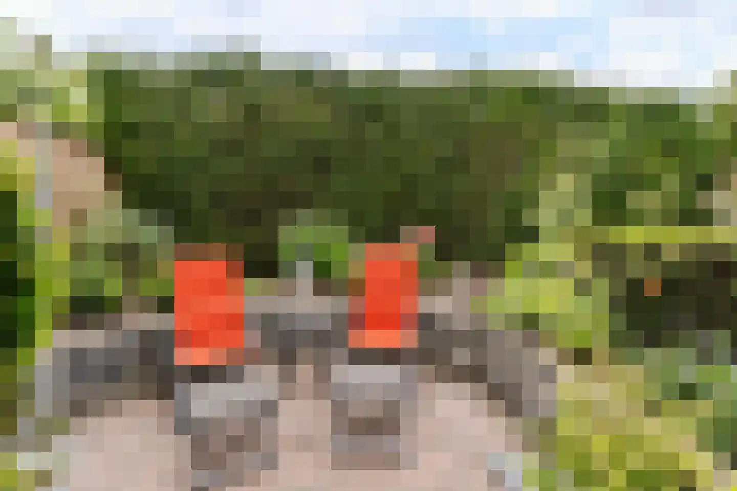 Ralph Bunchestraat 8 Goirle thumbnail 30