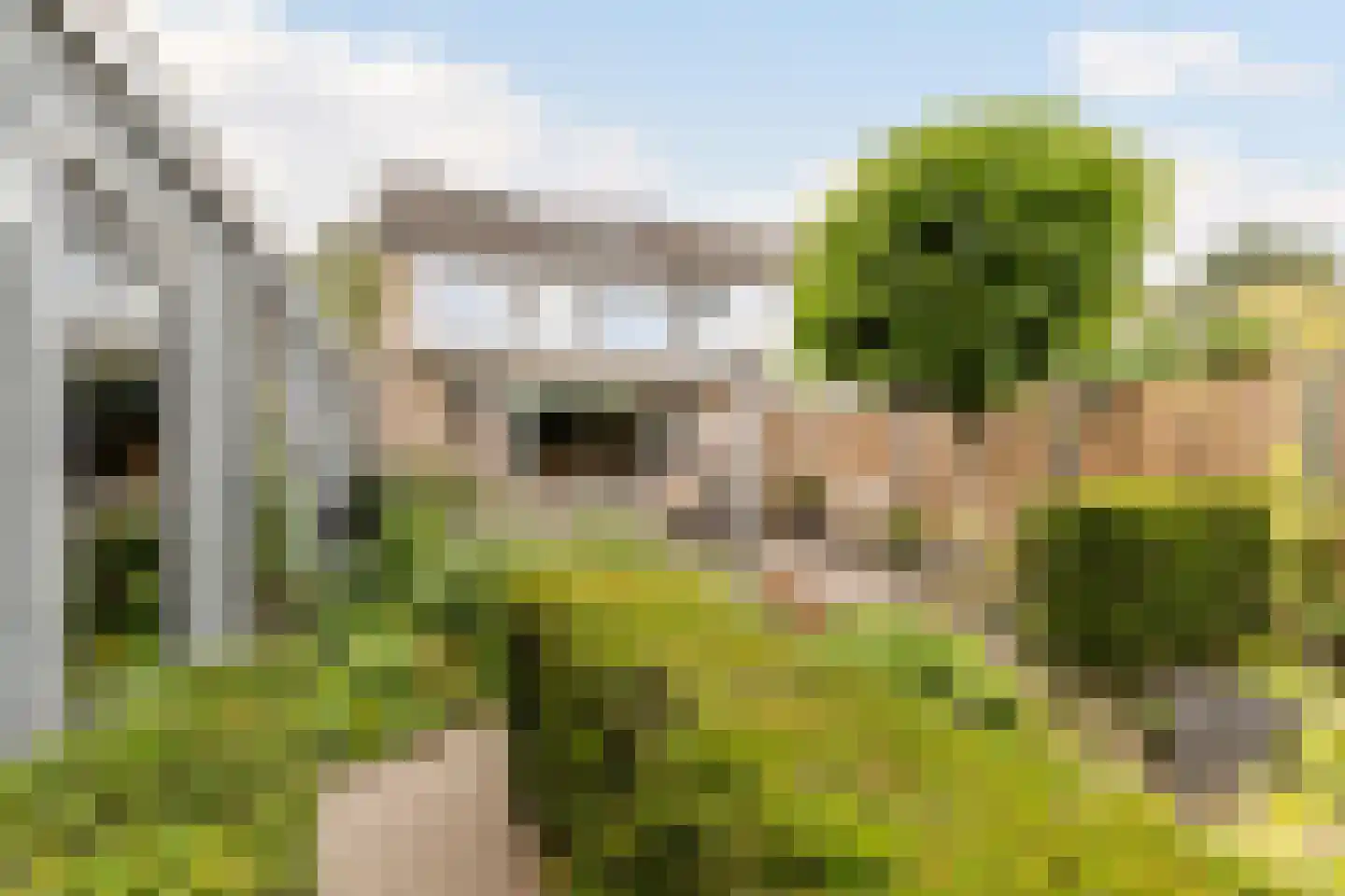 Ralph Bunchestraat 8 Goirle thumbnail 31
