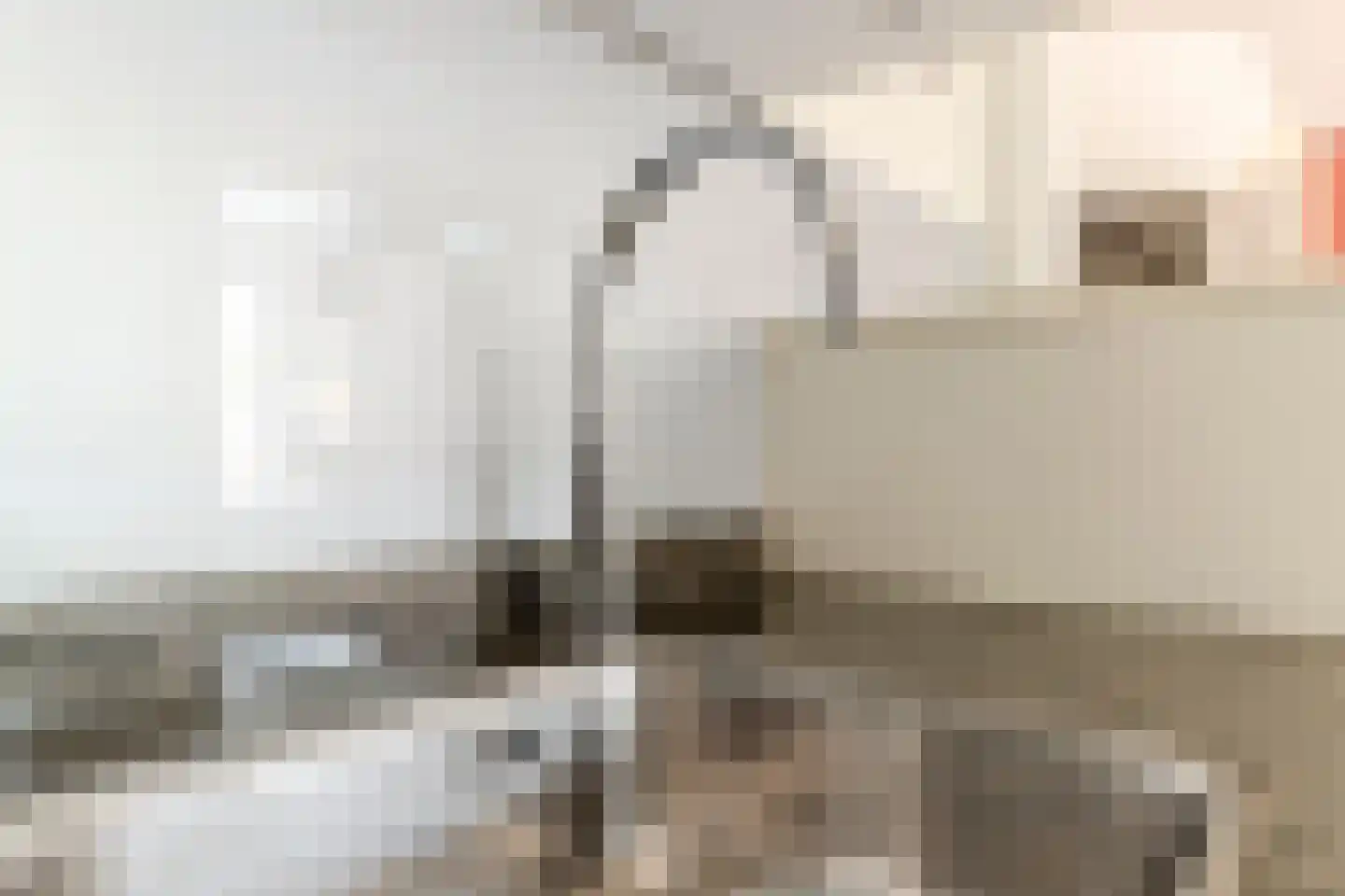 Ralph Bunchestraat 8 Goirle thumbnail 9