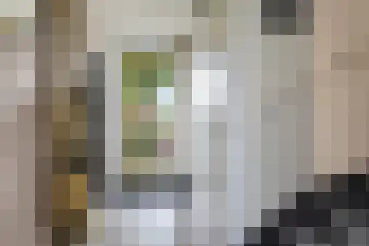 Ram 12 Elst thumbnail 13