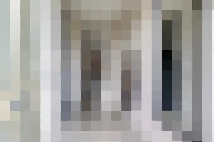 Ram 12 Elst thumbnail 14
